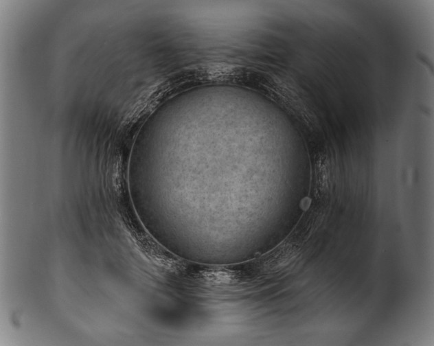 X0000100960698200806241527