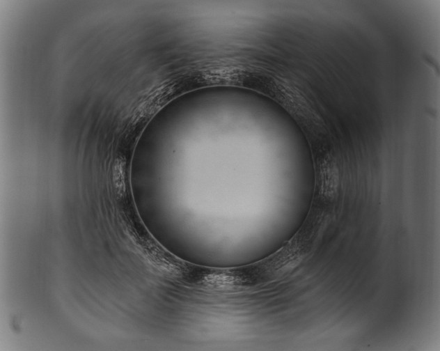 X0000100960699200806241527