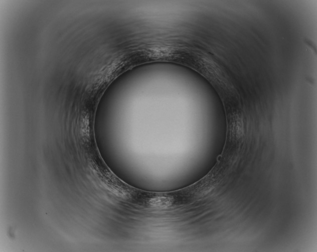 X0000100960700200806241527