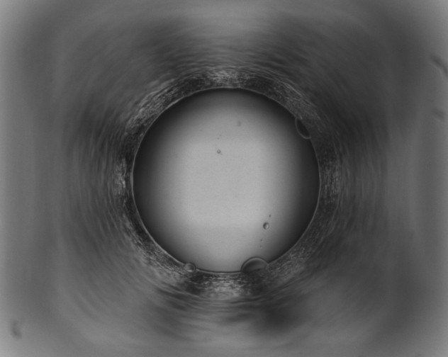 X0000100960702200806241527