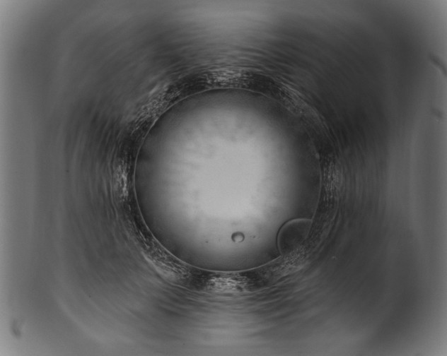 X0000100960703200806241527
