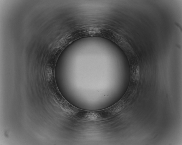 X0000100960704200806241527