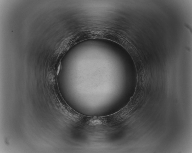 X0000100960706200806241527