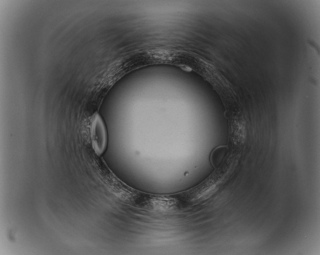 X0000100960707200806241527