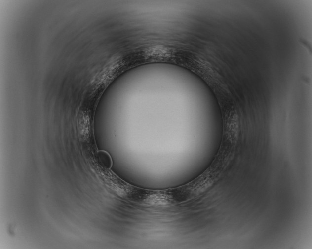 X0000100960708200806241527