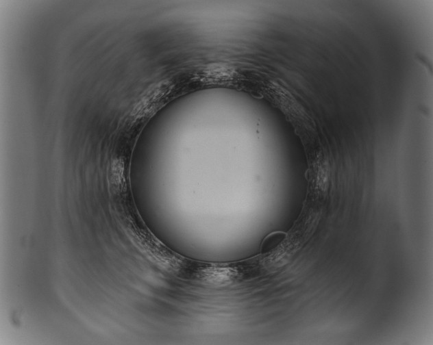 X0000100960711200806241527