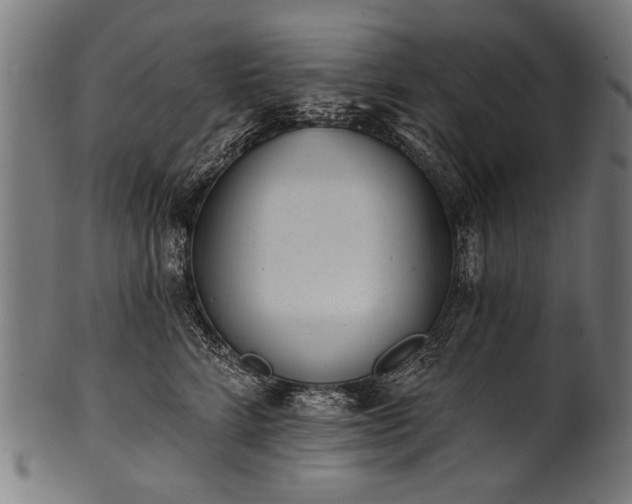 X0000100960712200806241527