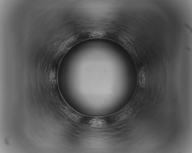 X0000100960714200806241527