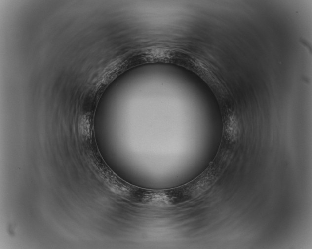 X0000100960715200806241527