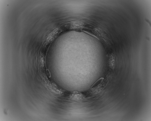 X0000100960716200806241527