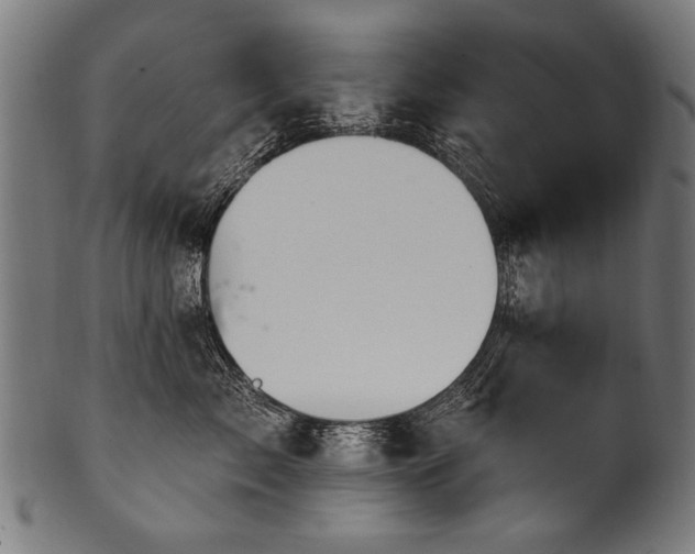 X0000100960717200806241527