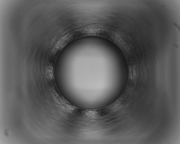 X0000100960718200806241527