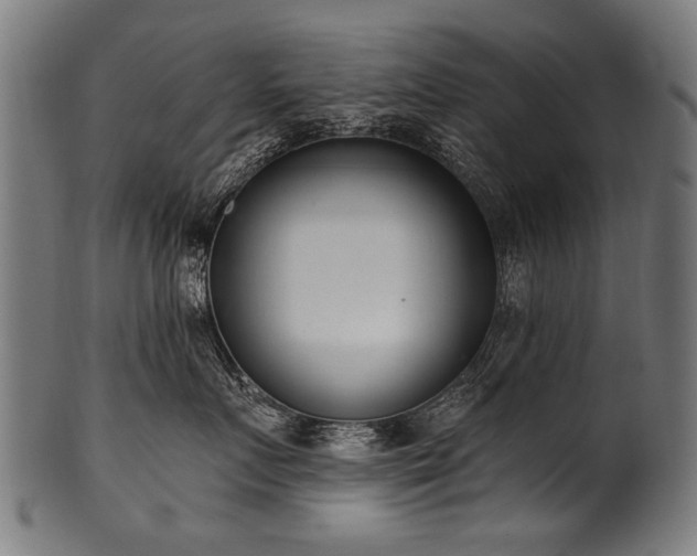 X0000100960719200806241527