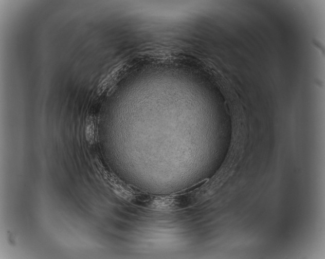 X0000100960720200806241527