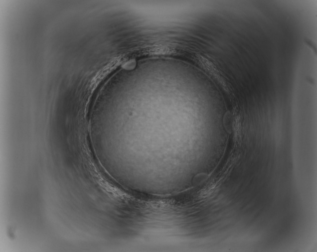 X0000100960721200806241526