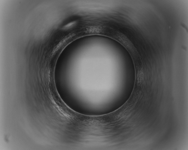 X0000100960722200806241526