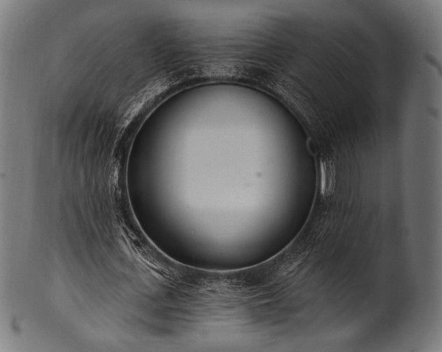 X0000100960723200806241526