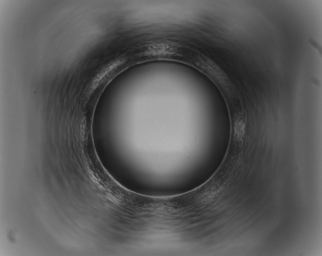 X0000100960724200806241526