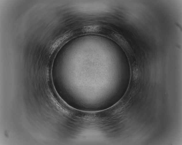 X0000100960725200806241526