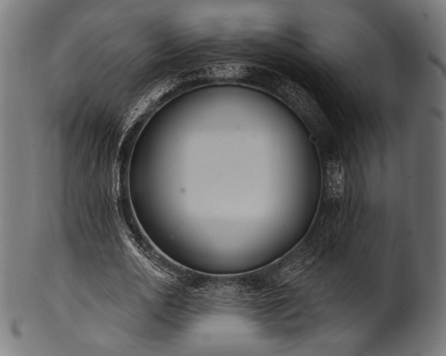 X0000100960726200806241526