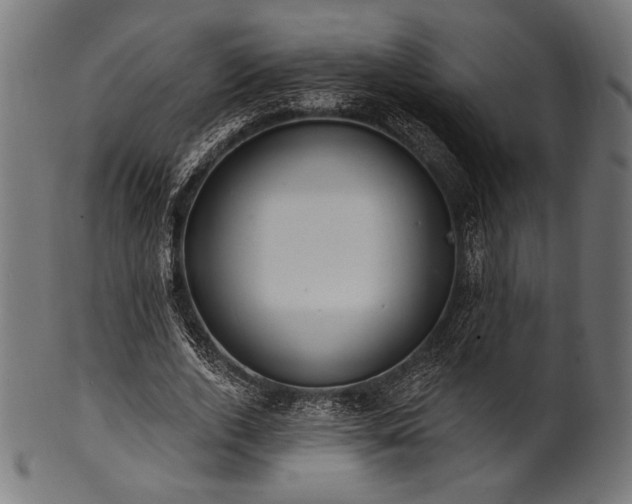 X0000100960728200806241526