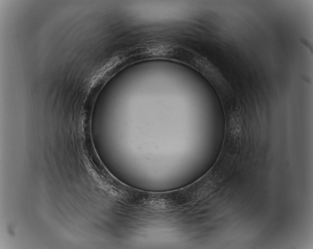 X0000100960730200806241526
