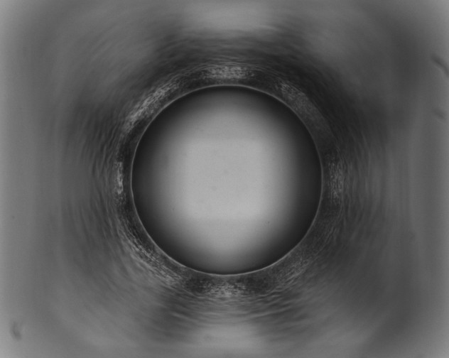 X0000100960731200806241526