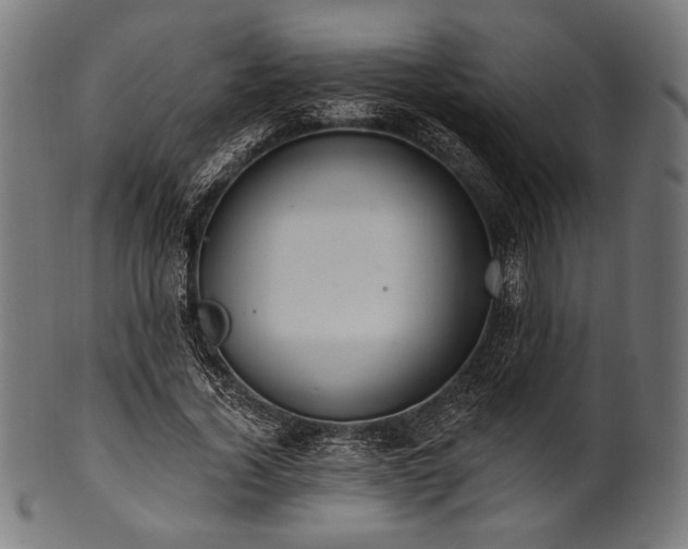 X0000100960732200806241526