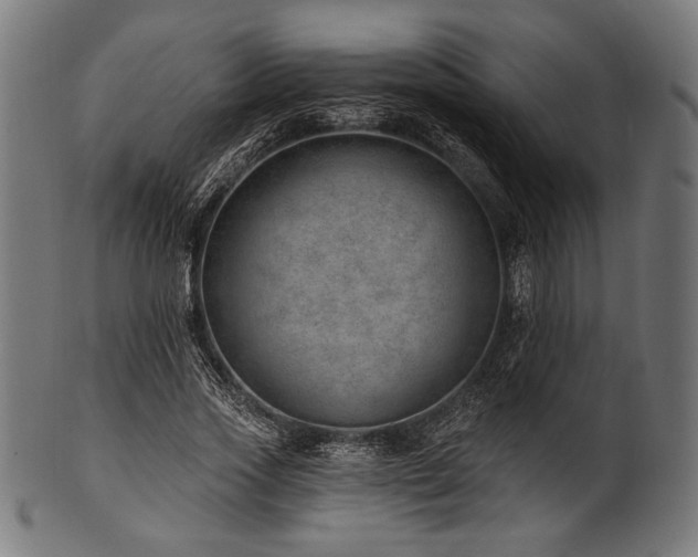 X0000100960733200806241526