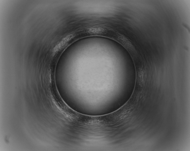 X0000100960734200806241526