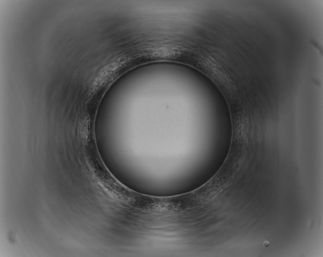 X0000100960736200806241526