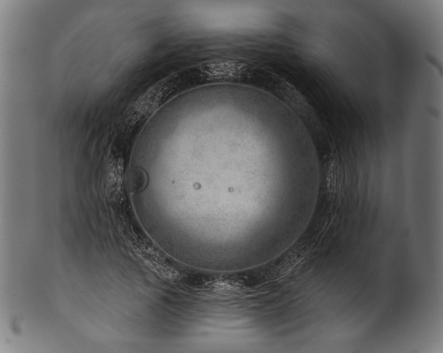X0000100960737200806241526