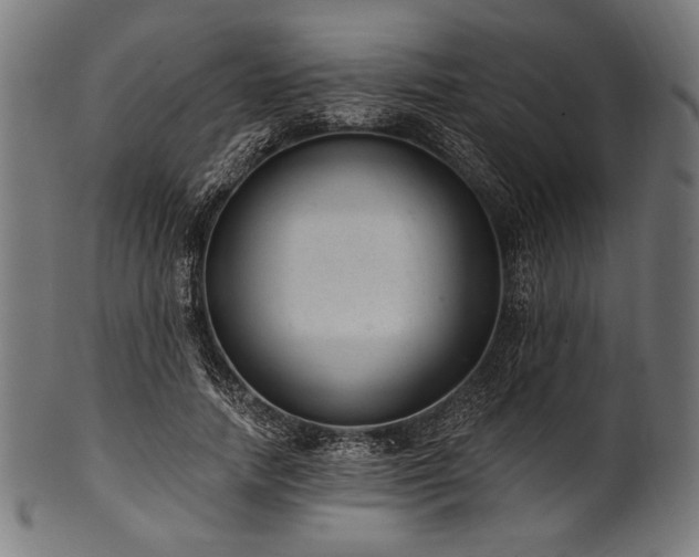 X0000100960738200806241526