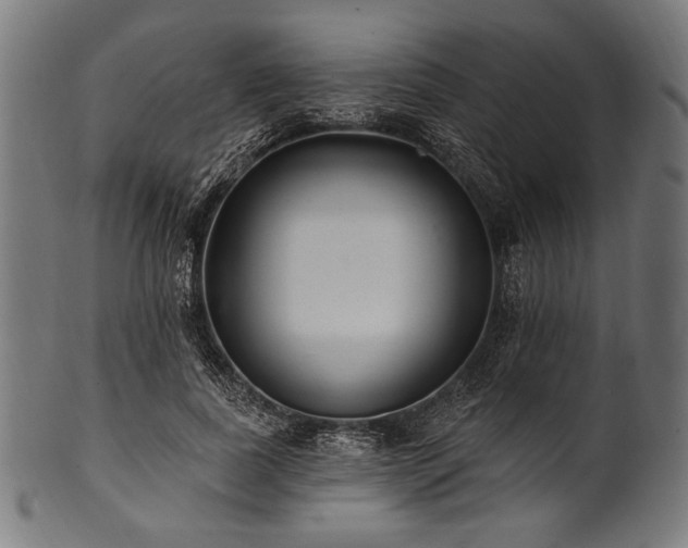 X0000100960739200806241526
