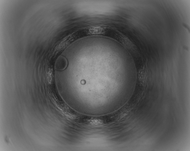 X0000100960741200806241527