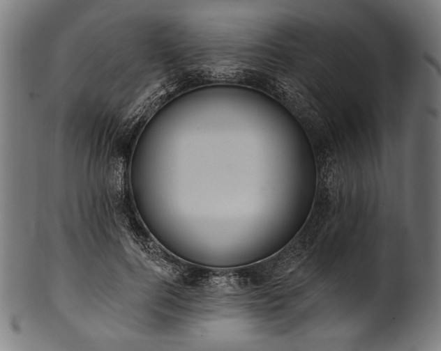 X0000100960744200806241527