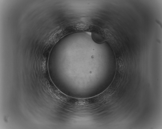 X0000100960745200806241527