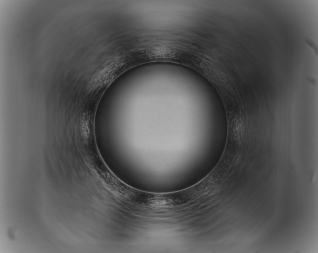 X0000100960746200806241527