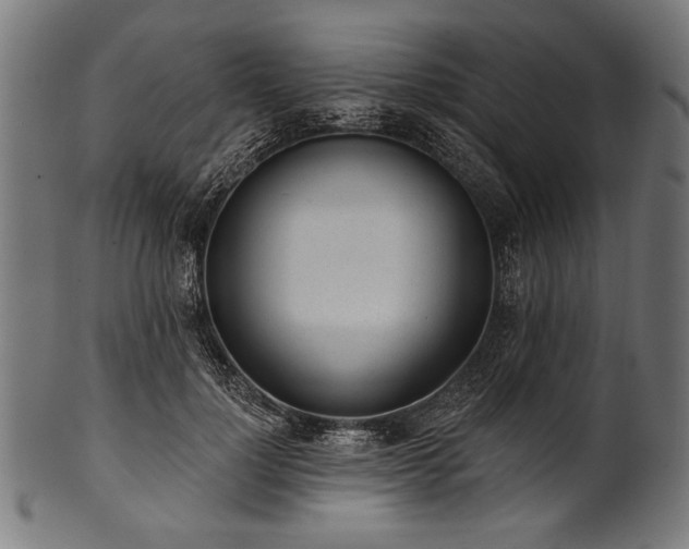 X0000100960748200806241527