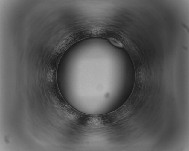 X0000100960750200806241527