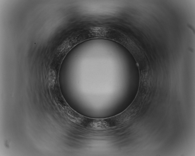 X0000100960752200806241527