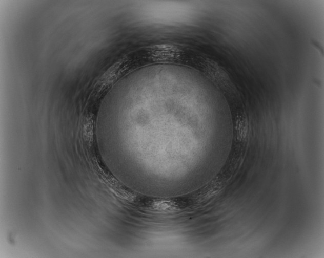 X0000100960753200806241527