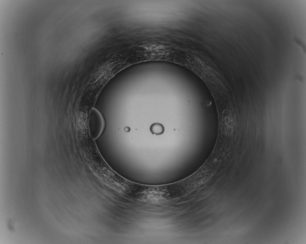 X0000100960756200806241527