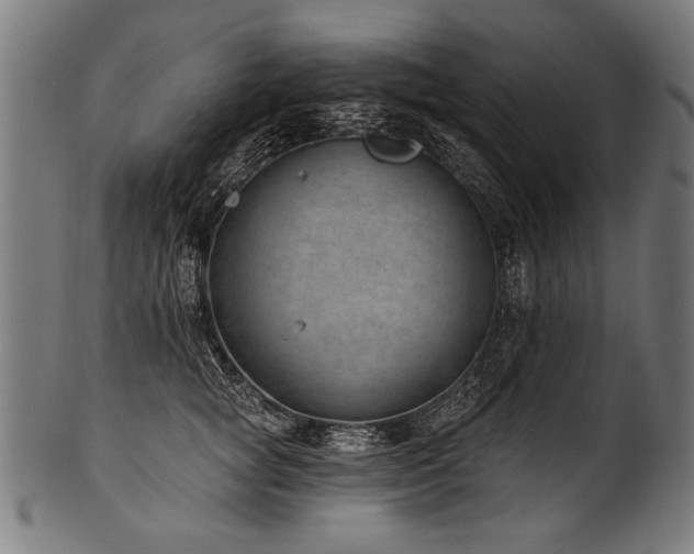X0000100960757200806241527