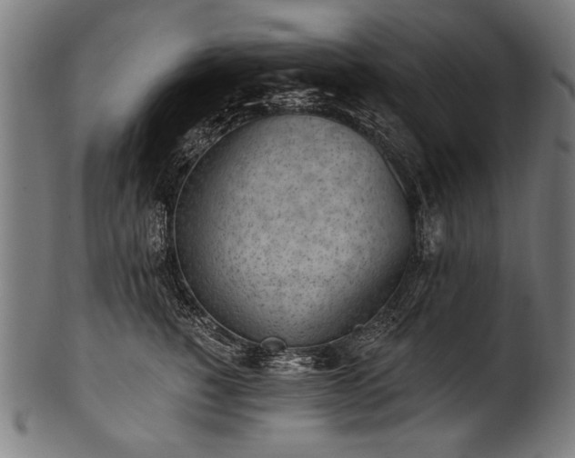 X0000100960760200806241527