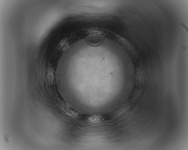X0000100960761200806241527