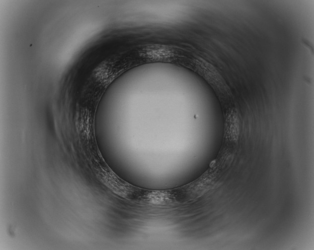 X0000100960762200806241527