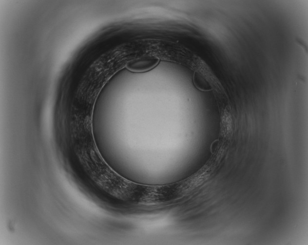 X0000100960765200806241527