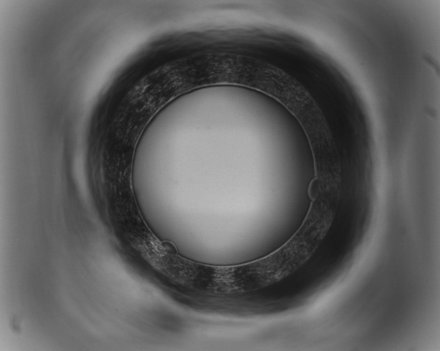 X0000100960766200806241527