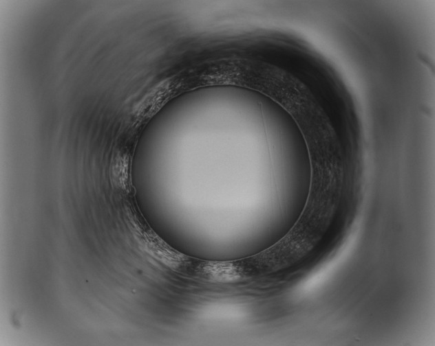 X0000100960767200806241527